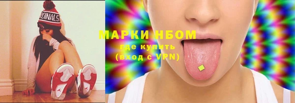 сатива Бородино
