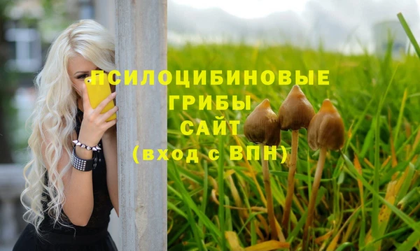 твердый Богородицк