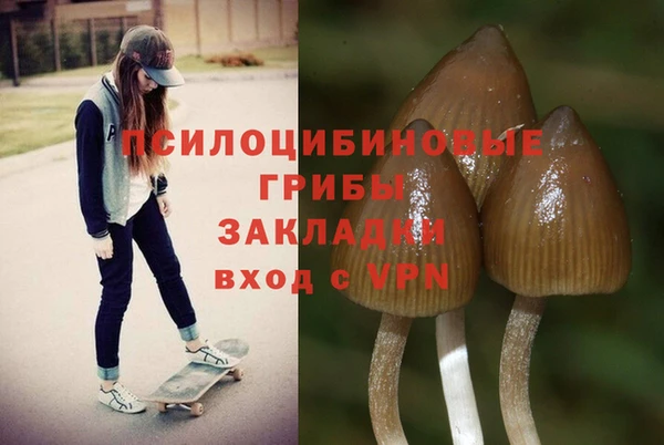 гашиш Богородск